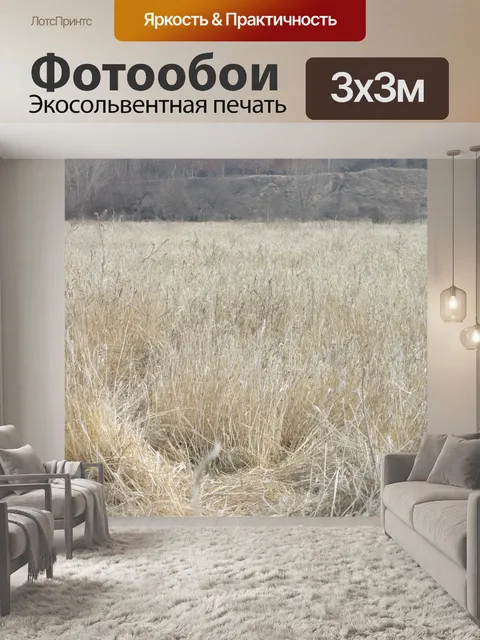 Фотообои Сухой траве 2