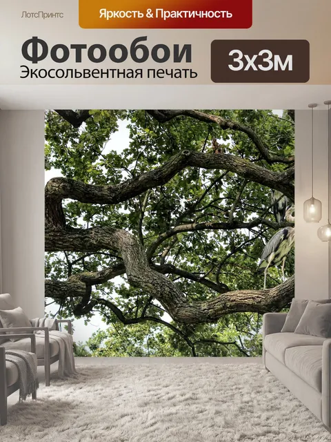 Фотообои Дерево
