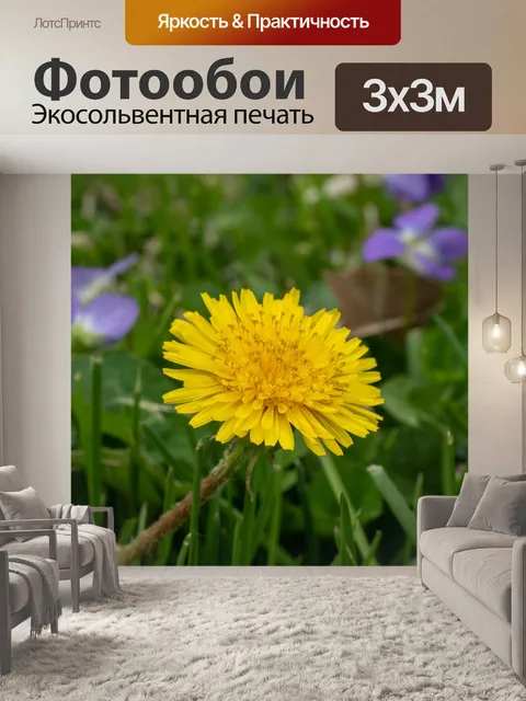 Фотообои Одуванчик