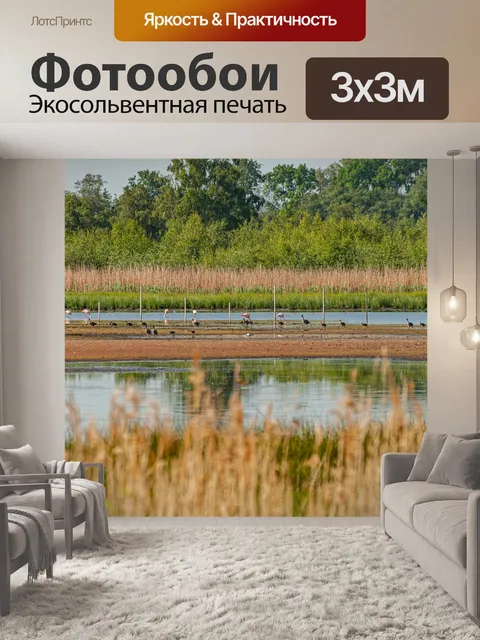 Фотообои Фламинго