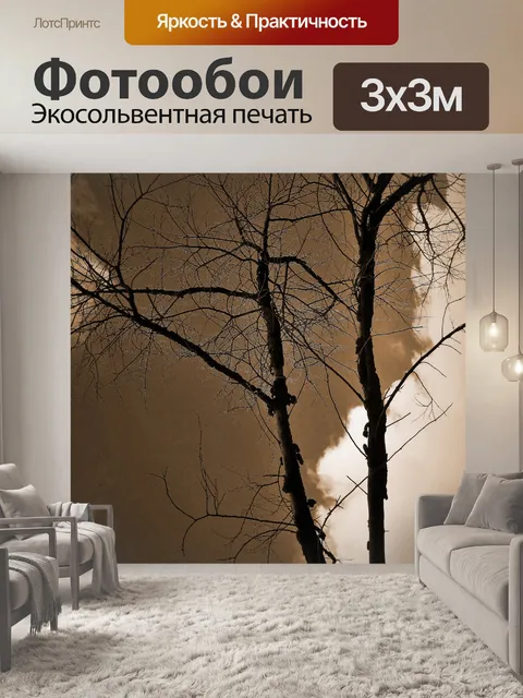 Фотообои сухой ветви против сепия неба