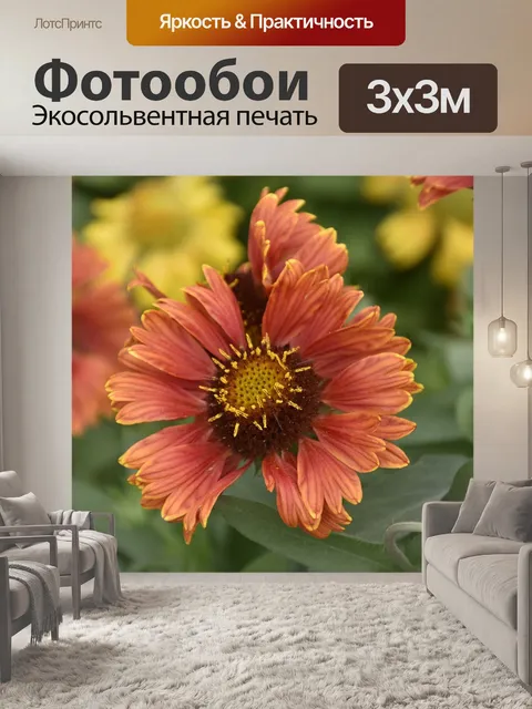 Фотообои Цветок