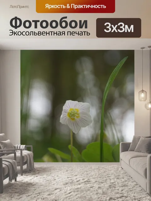 Фотообои Цветок