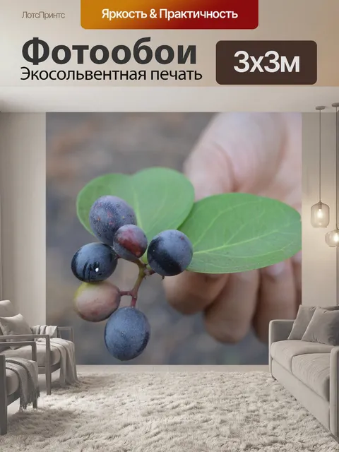 Фотообои Ягоды