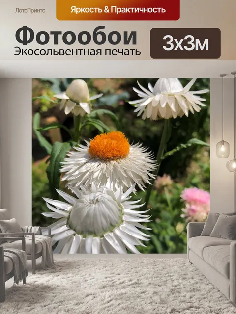 Фотообои Цветы