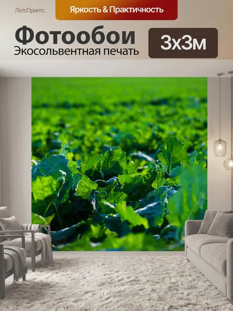 Фотообои Листья