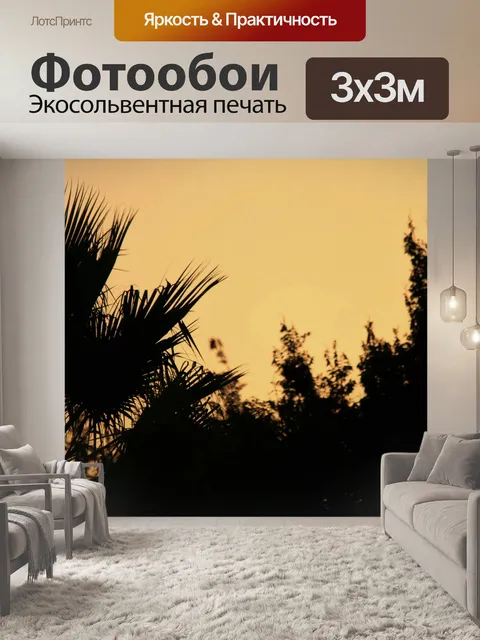 Фотообои пальмовых листьев в пастельных небо