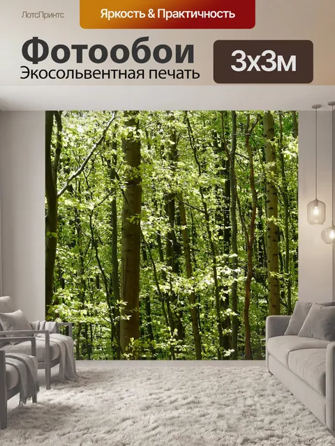 Фотообои Лес