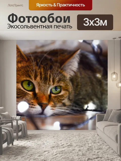 Фотообои Кошка