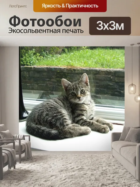 Фотообои Кошка