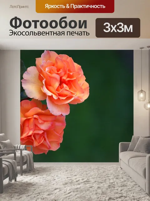 Фотообои Розы