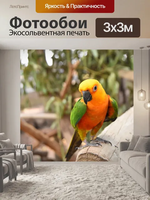 Фотообои Птица