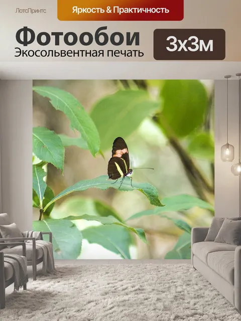 Фотообои Бабочка