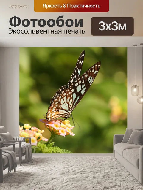 Фотообои Бабочка