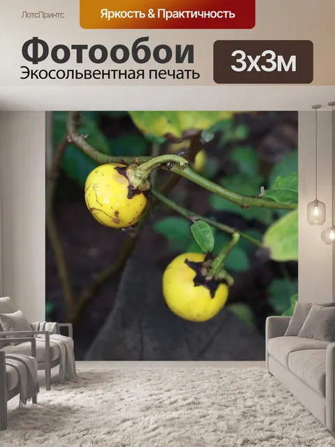 Фотообои Желтый
