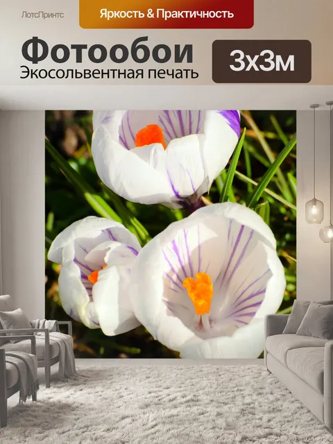 Фотообои Весенние цветы