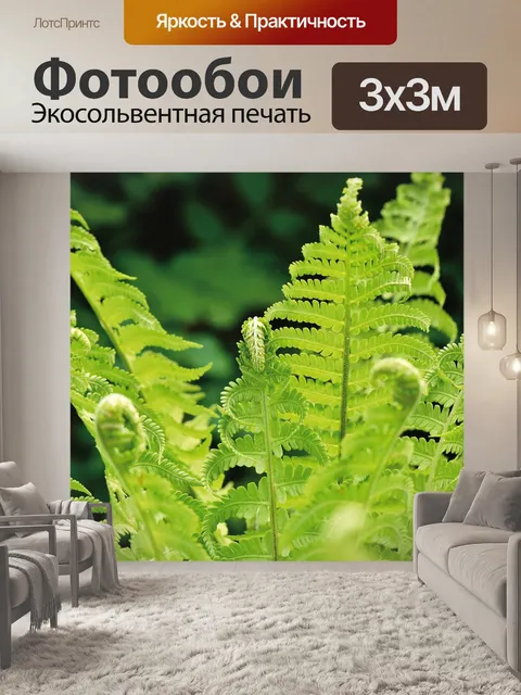 Фотообои Папоротник