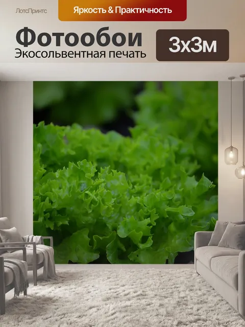 Фотообои Огород