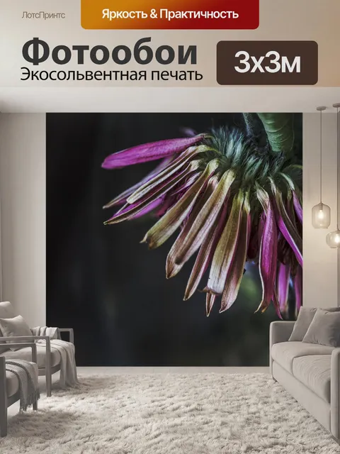 Фотообои Клематис