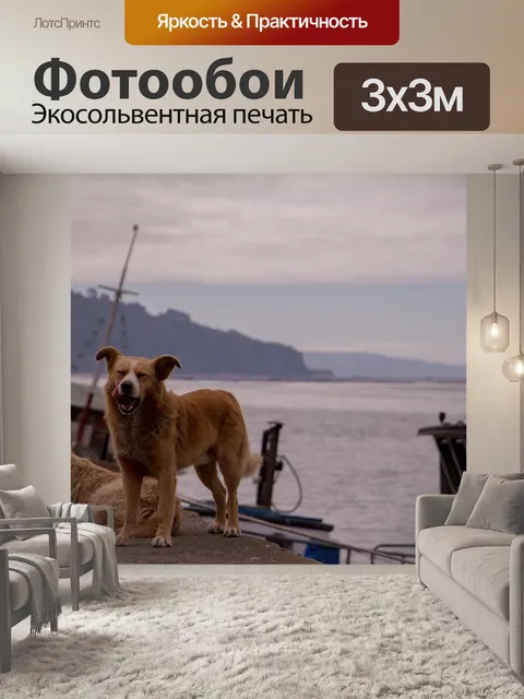 Фотообои Собака