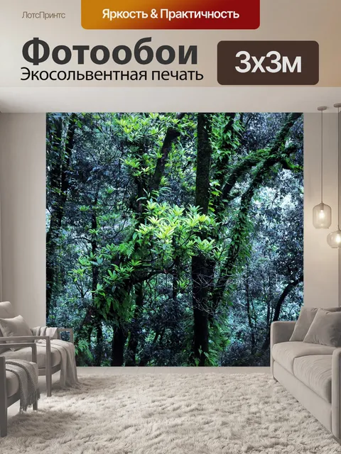 Фотообои Лес 01