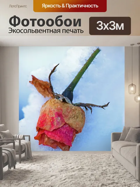 Фотообои Роза