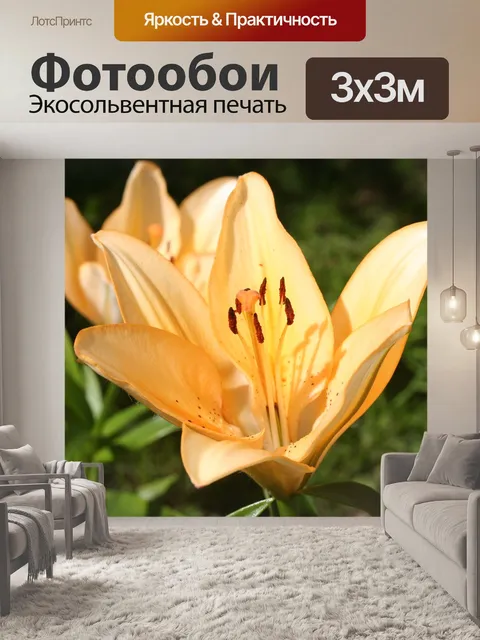 Фотообои Цветы