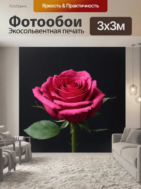 Фотообои розы в стиле минимализм