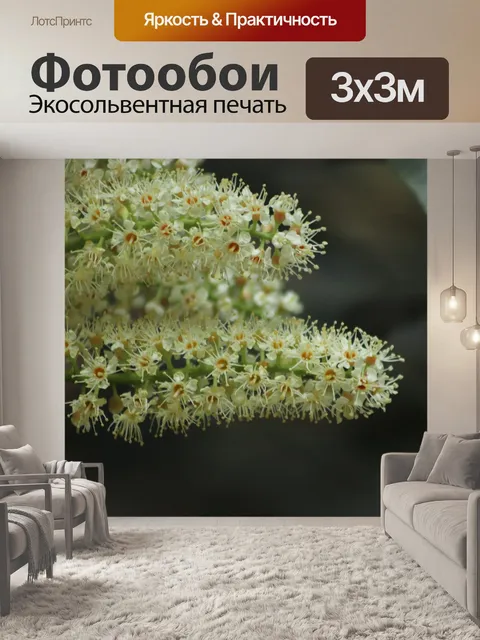 Фотообои Роза лавр