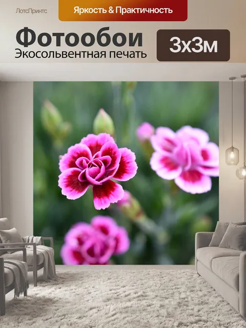 Фотообои Цветы