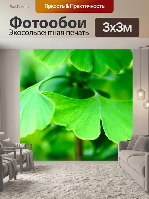 Фотообои Гинко