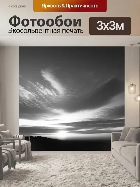 Фотообои пейзаж с закатом легко чернобелый