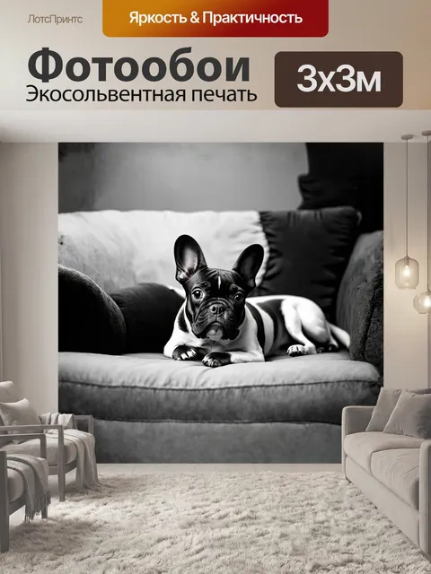 Фотообои собака, французский бульдог, черный и белый, лежит на бархатном диване в стиле реализма, выполненный в…