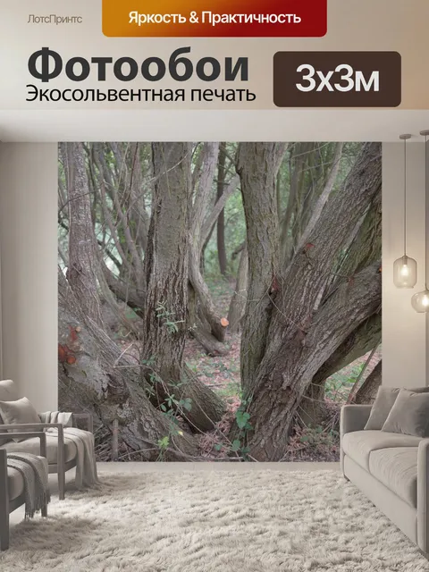 Фотообои Ствол