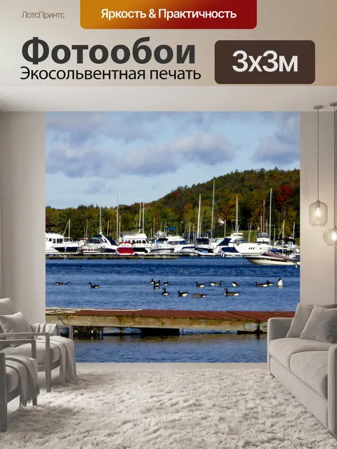 Фотообои Гуси в Харбор