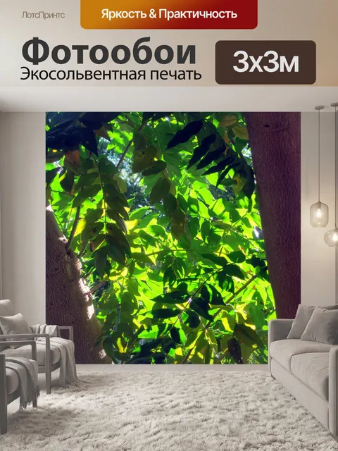 Фотообои свет на листьях в конце лета