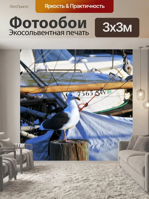 Фотообои Чайка Опираясь на Парусник