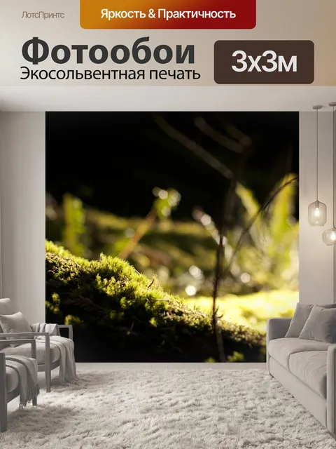 Фотообои Мох