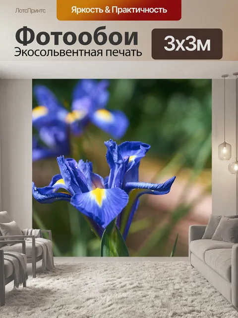 Фотообои Цветок
