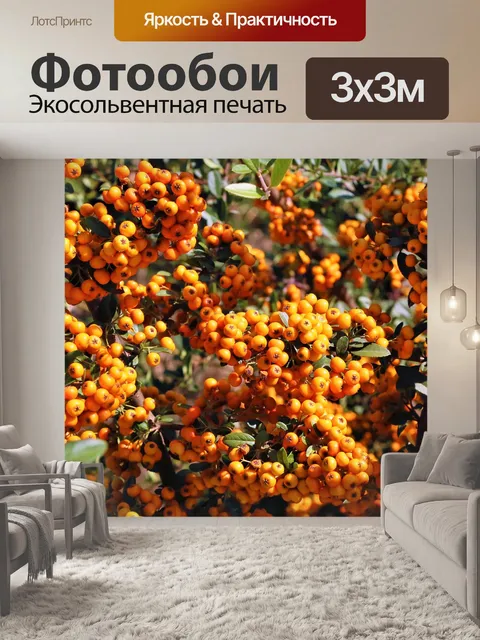 Фотообои Осень