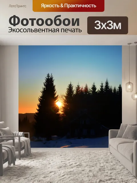 Фотообои Лес