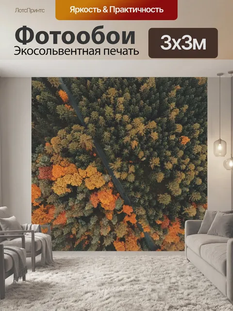 Фотообои С высоты птичьего полета