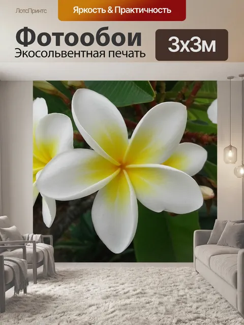 Фотообои Цветок