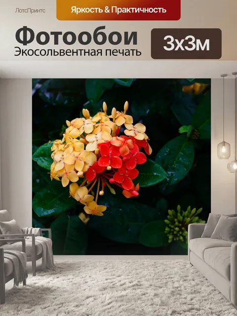 Фотообои Ixoria