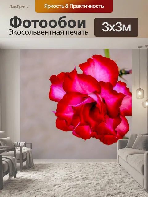 Фотообои Экзотический цветок