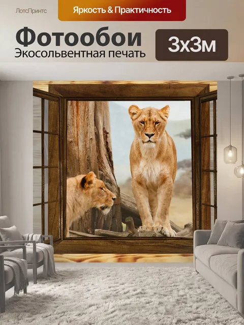 Фотообои Окно