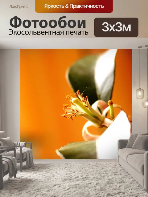 Фотообои Лимон