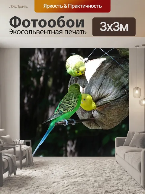 Фотообои Волнистый попугайчик