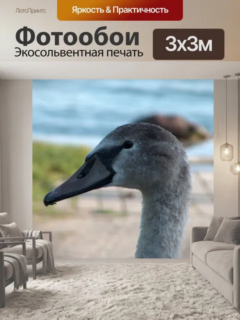 Фотообои Природа