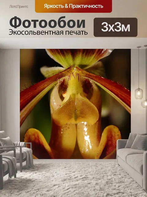 Фотообои Деталь